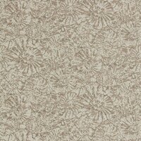 Anthology Ammonite Shell 112564