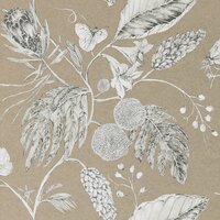 Harlequin Amborella Pebble 111222