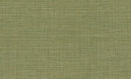 Arte JV800 Tierra Unito Tierra 6655