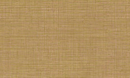 Arte JV800 Tierra Unito Tierra 6661