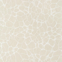Thibaut Amato Beige T4014