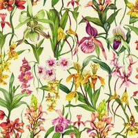 Harlequin Colour 4 Wallpapers Kalina Parchment Forest Azalea  113009