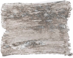 l'Authentique Betonlookverf Rustic 180