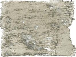 l'Authentique Betonlookverf Oase 135