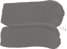 l'Authentique Matte Lak Waterbasis Fossiel  80