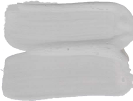 l'Authentique Matte Lak Waterbasis Eenheid 79