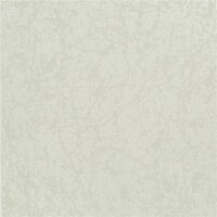 Designers Guild Boratti Wide Platinum PDG682-03 