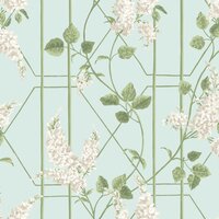 Cole & Son Botanical ~Botanica~ Wisteria 115/5014