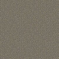 Cole & Son Curio Vermicelli 107/4017