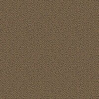 Cole & Son Curio Vermicelli 107/4020