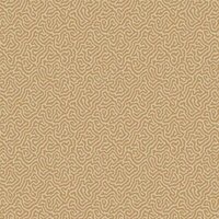 Cole & Son Curio Vermicelli 107/4021