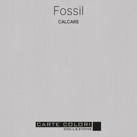 Carte Colori Calcare Kalkverf Fossil