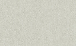 Flamant Wallpaper Metal Velvet Flower and Lin 30107