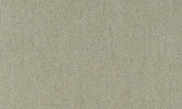 Flamant Wallpaper Metal Velvet Flower and Lin 40005