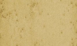 Arte Metal X Stellar 37516