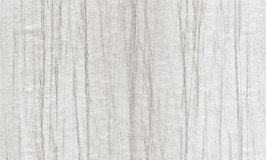 Arte Takara Cobalt 25025