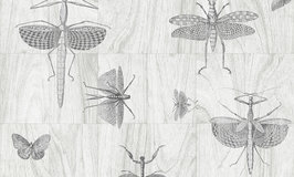 Arte Ligna Wings 42001