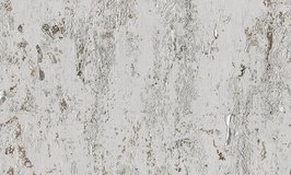 Arte Antarès ANT501