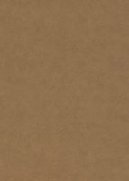 Mulberry Bohemian Romance Vintage Leather Oak FG075.L32