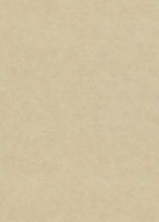 Mulberry Bohemian Romance Vintage Leather Old Gold FG075.T123