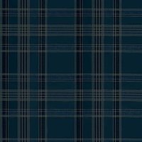 Ralph Lauren Deerpath Trail Plaid Indigo PRL5020/04